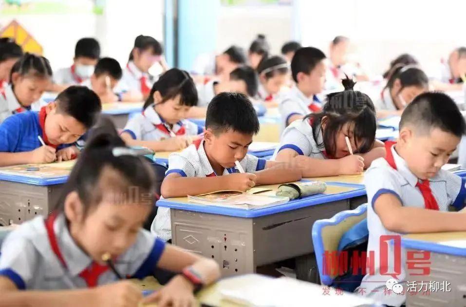 柳北区初中最新动态报道
