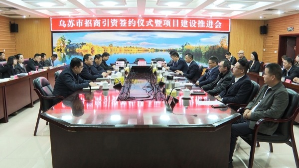 乌苏市人民政府办公室最新项目，引领城市发展的核心动力源泉