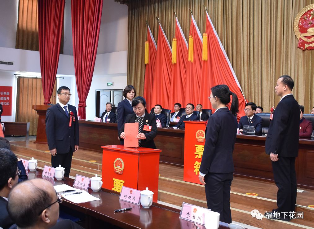东山区公路运输管理事业单位人事任命最新动态